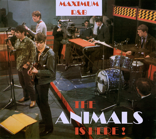 THE ANIMALS