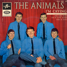 THE ANIMALS