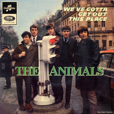 THE ANIMALS