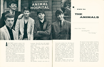 THE ANIMALS