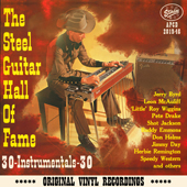 STARDAY STEEL GUITAR