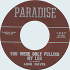 LINK DAVIS